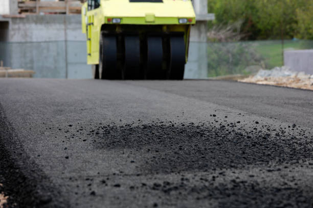 Best Professional Driveway Pavers  in Cold Spring, KY